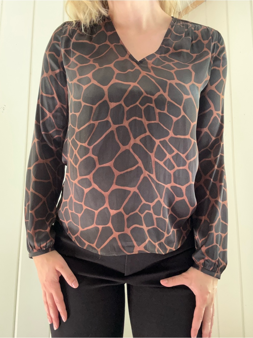 Banana Republic Black and Brown Animal-Print V-Neck Sheer Blouse